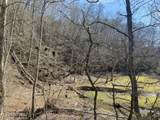 17 Mountain Shores Rd Rd - Photo 6