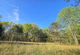Lot 34 Indigo Bunting Drive - Photo 3