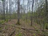  Paint Rock Rd - Photo 15