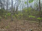  Paint Rock Rd - Photo 21