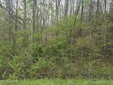  Paint Rock Rd - Photo 3