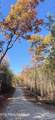 111 Cherokee Path - Photo 13