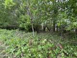  Battlefield Drive - Photo 6