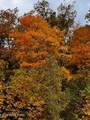 1867 Big Ridge Rd - Photo 36
