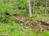 Lot 45 Alpine Drive - Photo 3