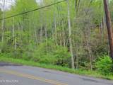 Lot 45 Alpine Drive - Photo 4