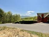 Lot 49 Cats Paw Lane - Photo 1
