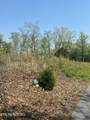 Lot 49 Cats Paw Lane - Photo 3