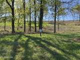 1031 Black Cove Lane - Photo 2