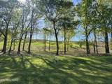 1097 Black Cove Lane - Photo 7