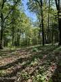  Carroll Rd - Photo 6