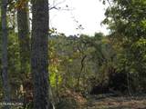 30+ac Highway 52 East - Photo 21
