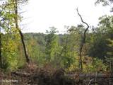 30+ac Highway 52 East - Photo 30