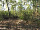 30+ac Highway 52 East - Photo 8