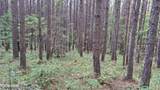  Airport Rd - Lot 15 (Pca) - Photo 13