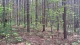  Airport Rd - Lot 15 (Pca) - Photo 2