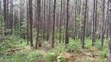  Airport Rd - Lot 15 (Pca) - Photo 3