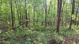  Airport Rd - Lot 15 (Pca) - Photo 4
