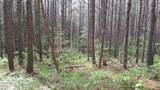 Airport Rd - Lot 15 (Pca) - Photo 5