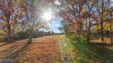 Lot 3 Rodgers Rd - Photo 5