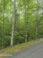 LOT 120 Lower Bluff Way - Photo 2