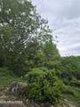 LOT 120 Lower Bluff Way - Photo 7