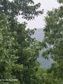 LOT 120 Lower Bluff Way - Photo 9