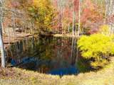 193 Smith Branch Rd - Photo 25