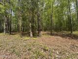 50 acres Oloff Smith Rd - Photo 2