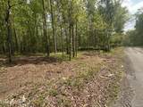 50 acres Oloff Smith Rd - Photo 4