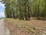 50 acres Oloff Smith Rd - Photo 5