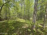 50 acres Oloff Smith Rd - Photo 6