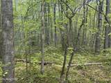 50 acres Oloff Smith Rd - Photo 8