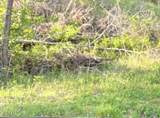  Vardy Blackwater Rd - Photo 3