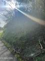  Vardy Blackwater Rd - Photo 7