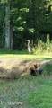 2644 Union Hill Rd - Photo 18