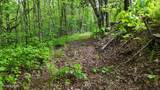 115 Calvender Rd - Photo 27
