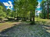 1294 Rafter Rd - Photo 10