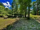 1294 Rafter Rd - Photo 13