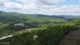  Old Kentucky Rd - Photo 12