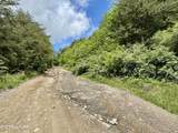  Old Kentucky Rd - Photo 34