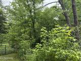 1205 Everett Rd - Photo 2