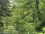 1205 Everett Rd - Photo 5