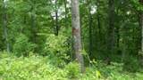Lot 176 Rock Springs Rd - Photo 1