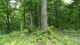 Lot 176 Rock Springs Rd - Photo 7