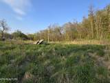 TR-2 Boatmans Mountain-Tr 2 Rd - Photo 10