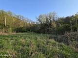 TR-2 Boatmans Mountain-Tr 2 Rd - Photo 11
