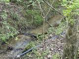 TR-2 Boatmans Mountain-Tr 2 Rd - Photo 15
