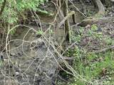 TR-2 Boatmans Mountain-Tr 2 Rd - Photo 16