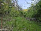 TR-2 Boatmans Mountain-Tr 2 Rd - Photo 17